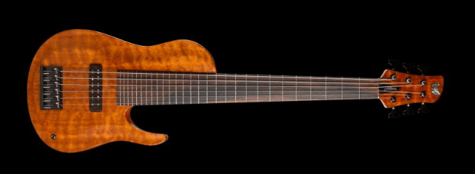 Fodera Anthony Jackson Presentation